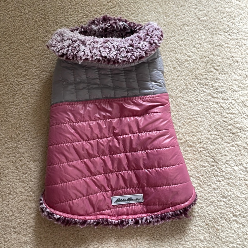 Dog jacket